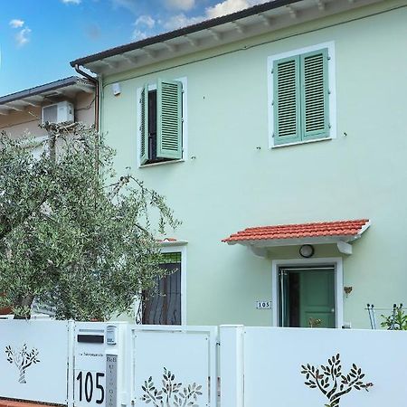 B&B Ulivo Gaio San Miniato Ngoại thất bức ảnh