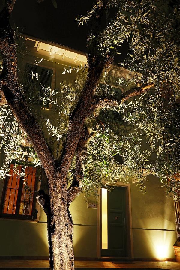 B&B Ulivo Gaio San Miniato Ngoại thất bức ảnh