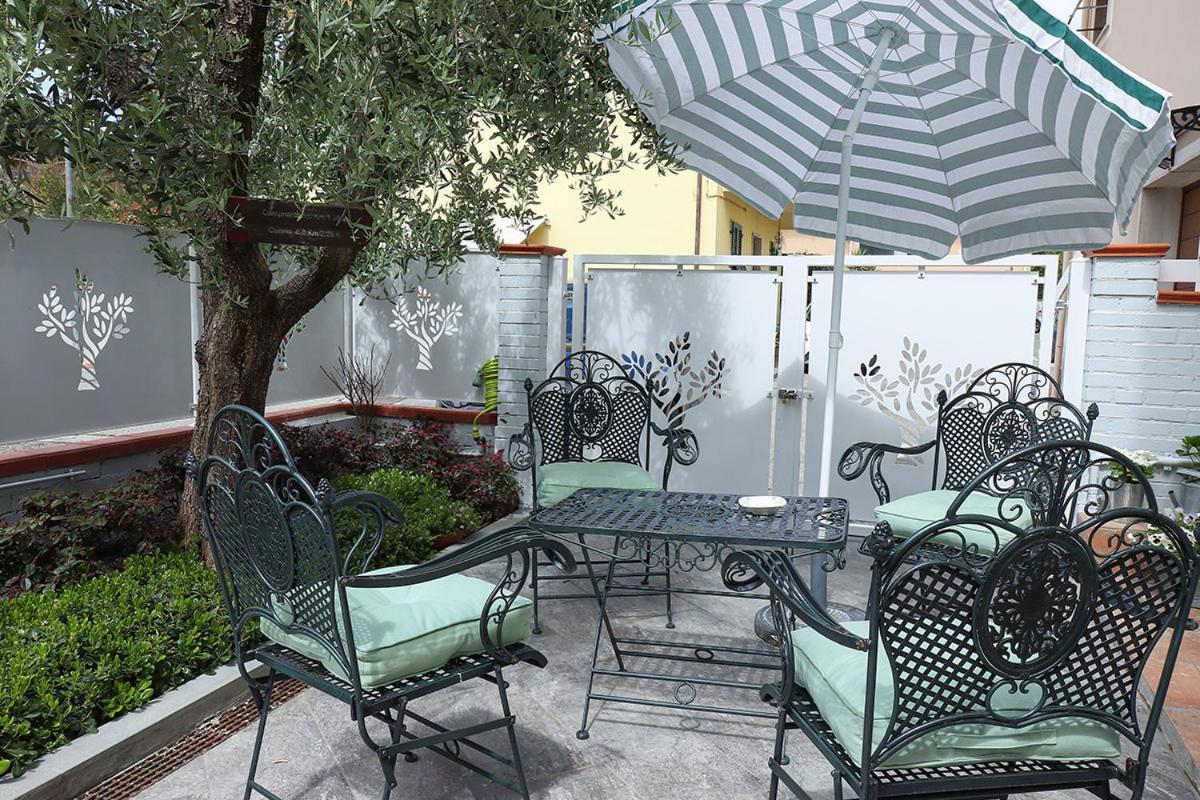 B&B Ulivo Gaio San Miniato Ngoại thất bức ảnh